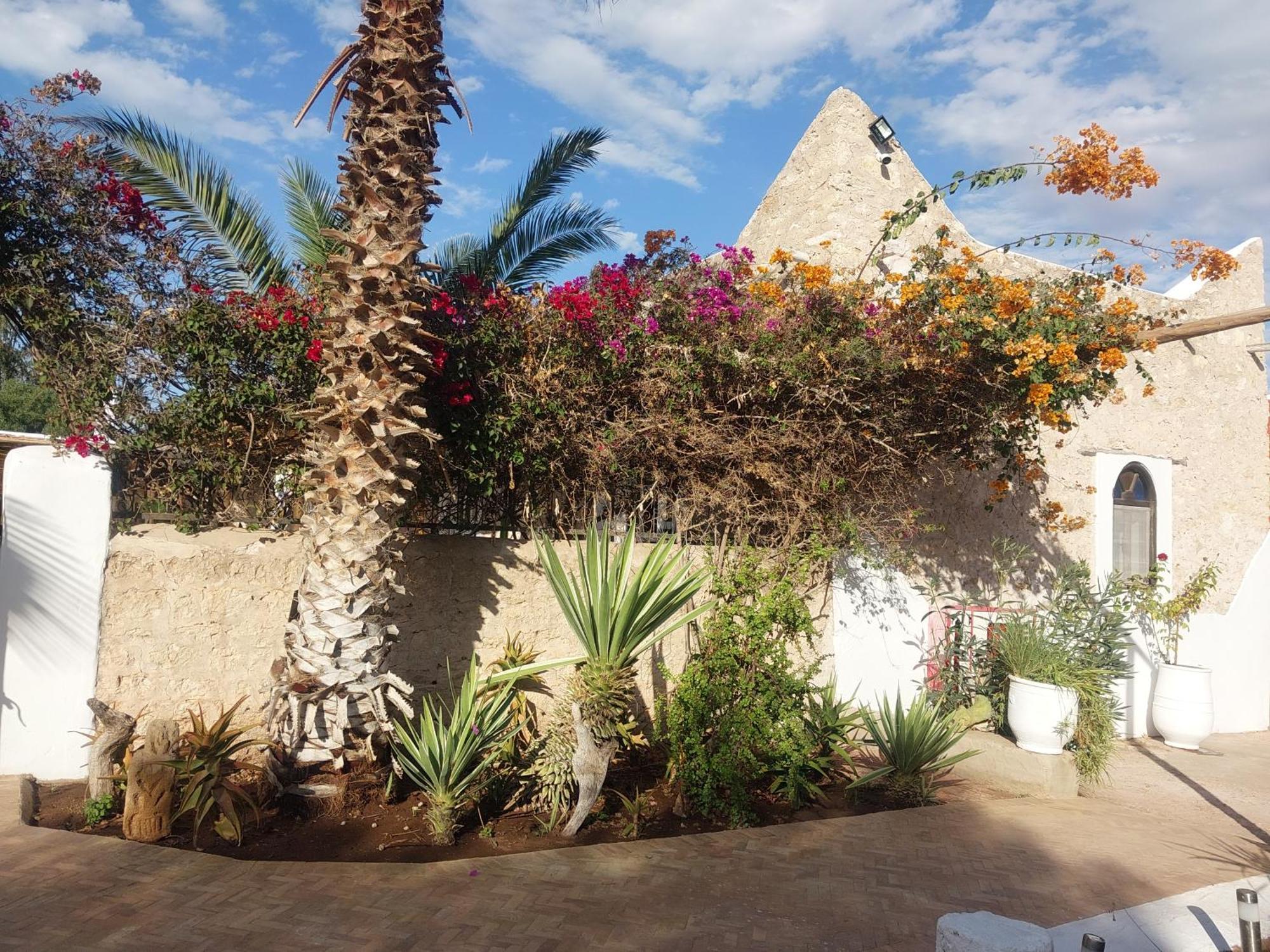 Riad Eucalyptus Essaouira Eksteriør billede