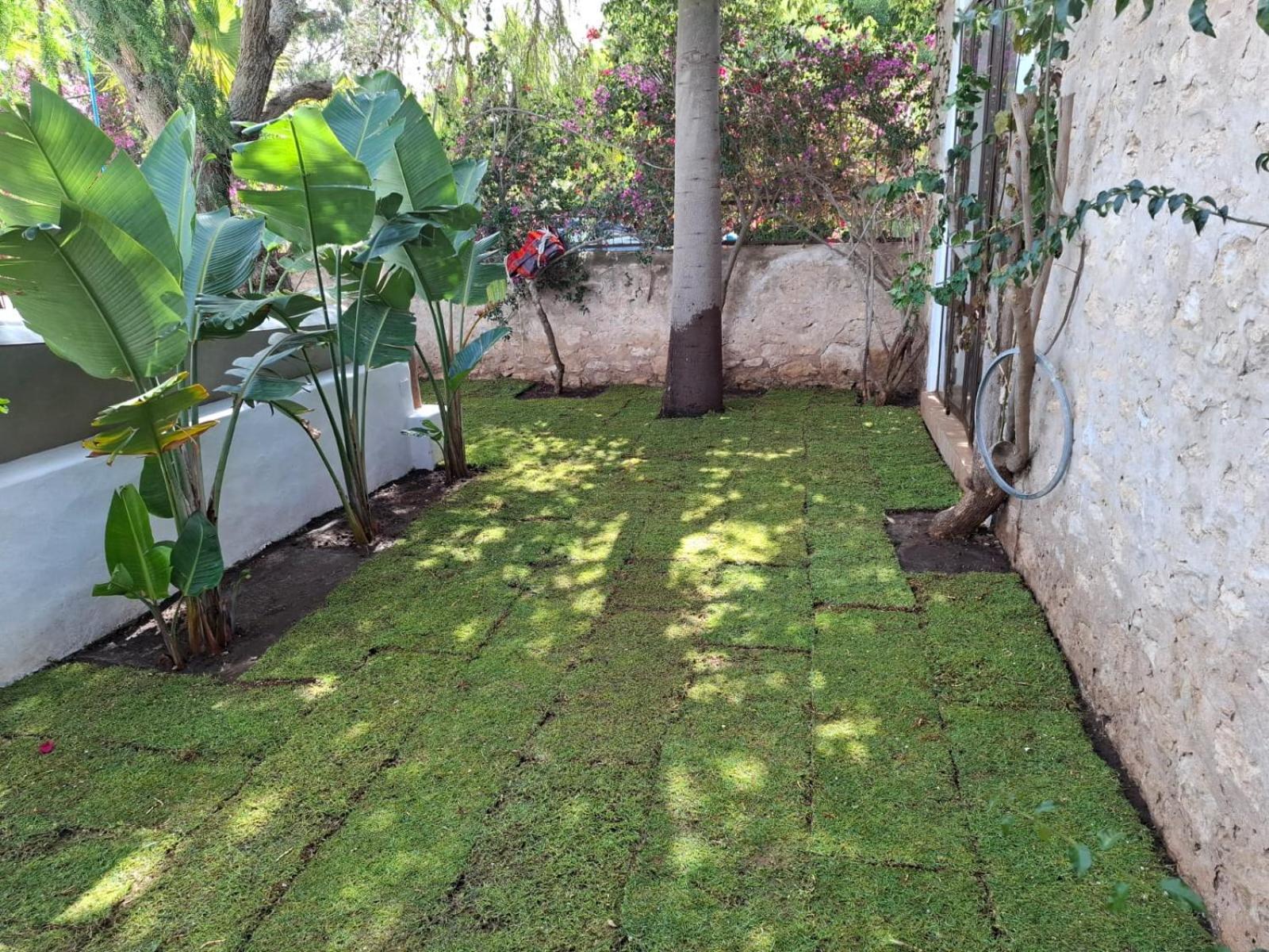 Riad Eucalyptus Essaouira Eksteriør billede